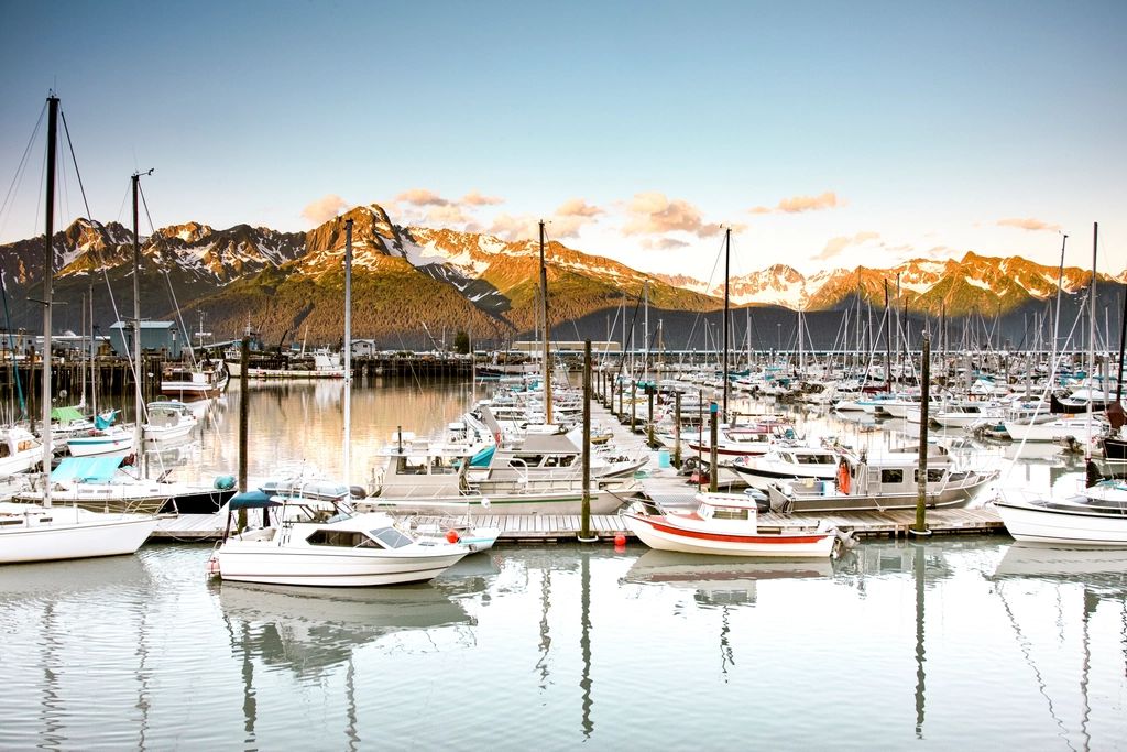 Boats moored at the harbour